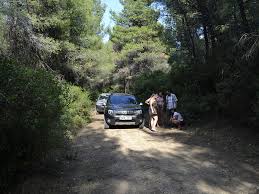 rent car